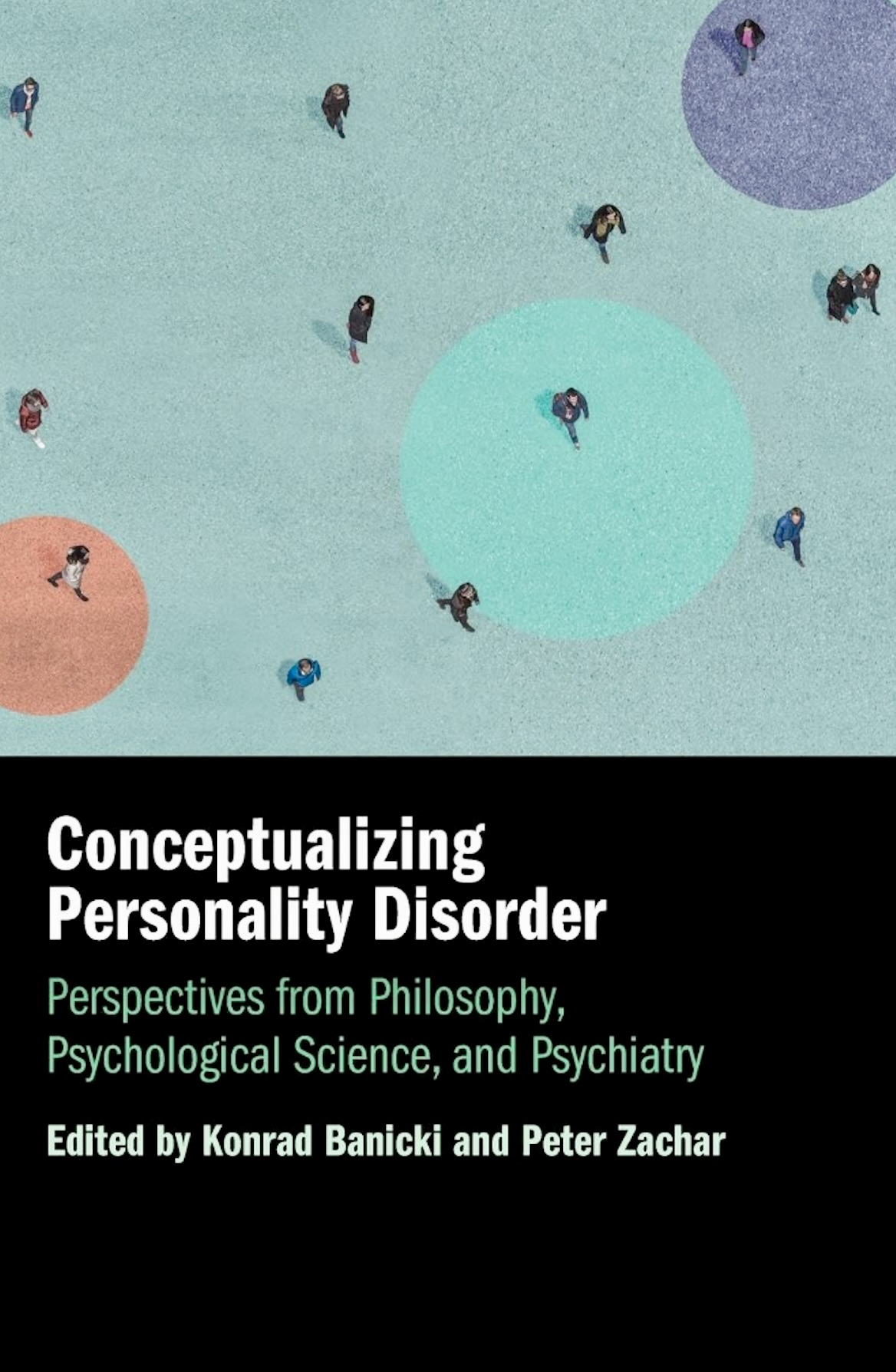 Conceptualizing Personality Disorder book cover